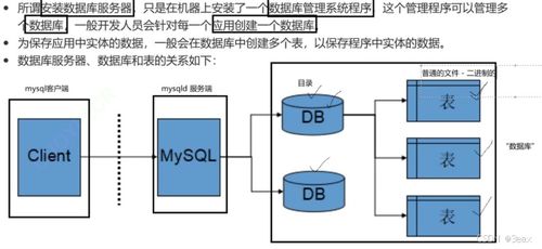 MySQL 數(shù)據(jù)處理與存儲(chǔ)支持服務(wù) 構(gòu)建高效可靠的數(shù)據(jù)管理方案